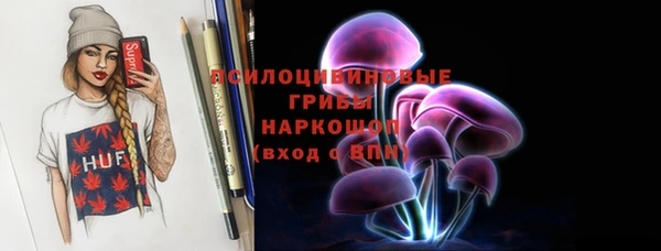 прущая мука Богородицк