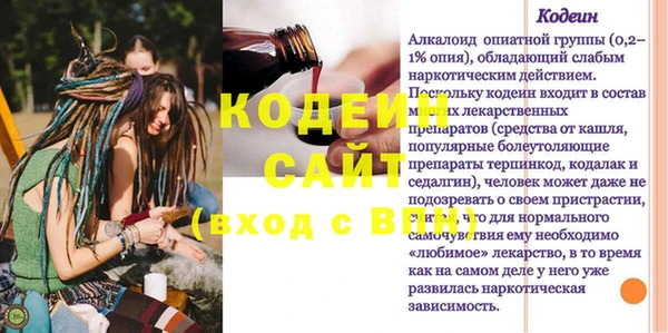 шишки Белокуриха