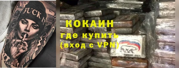 шишки Белокуриха