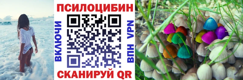 Галлюциногенные грибы мицелий  купить наркотик  Бокситогорск 